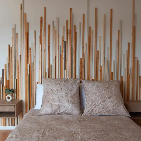 Jessy 20m - 2 Sdb - Balcon - Wifi - Park B&B